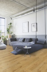 6cfa01c229bded6aa48e8a0985b3223b