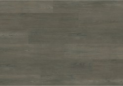 aspc20244-0-1152x812