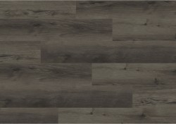 aspc20245-0-1152x812