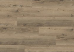 aspc20247-0-1152x812