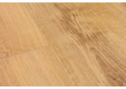 bacl40023-1-1152x812