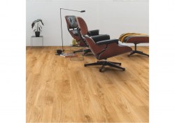 bacl40023-2-1152x812