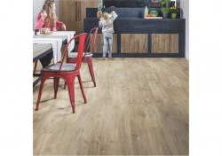 bacl40031-2-1152x812