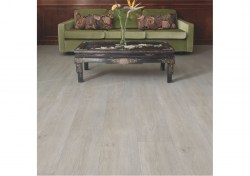 bacl40052-4-1152x812