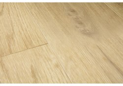 bacp40018-1-1152x812