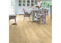 bacp40018-2-1152x812