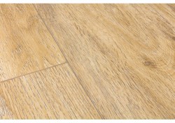 bagp40130-1-1152x812