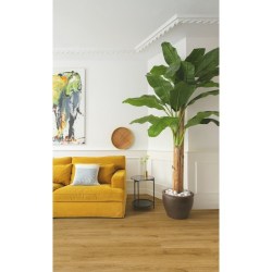 data-quick-step-alpha-vinyl-bloom-avmpu40238-botanic-smoked-oak-5-500x500