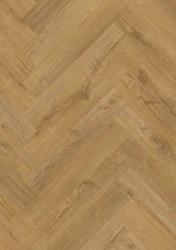 e4c624a424d08dc0c1dd30f89a5eb359