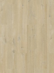 e91e44f7ddcbba416c7e0824c377d2bd