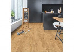 pucl40088-2-1152x812