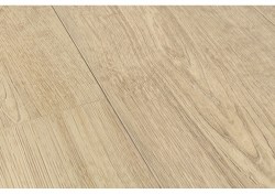 pugp40087-1-1152x812