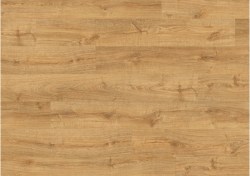 pugp40088-0-1152x812