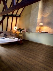 step_impressive_im1851_dub_derevenskiy_1