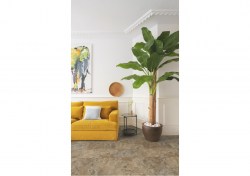 vspc20253-1-1152x812